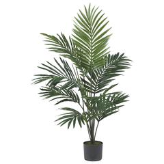 5ft. Kentia Palm Silk Tree Green