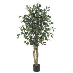 4ft. Ficus Silk Tree, Green
