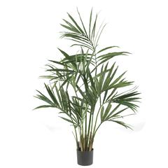 5ft. Kentia Palm Silk Tree, Green