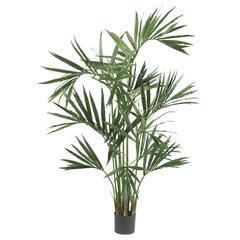 6ft. Kentia Palm Silk Tree Green