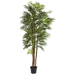 6ft. Bella Palm Silk Tree