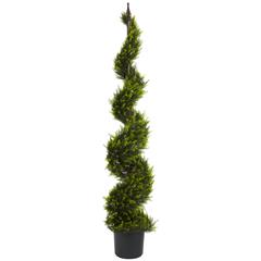 5ft. Cypress Spiral Tree