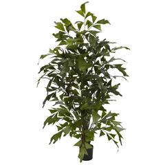 4.5ft. Fishtail Palm Silk Tree