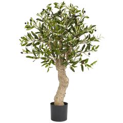2.5ft. Olive Silk Tree