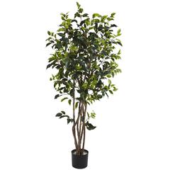 5ft. Ficus Bushy Silk Tree