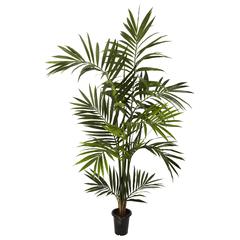 6ft. Kentia Palm Silk Tree, Green
