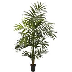 7ft. Kentia Palm Silk Tree