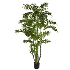 5ft. Areca Silk Tree