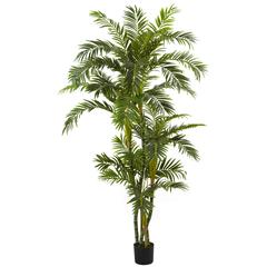 6ft. Curvy Parlor Palm Silk Tree