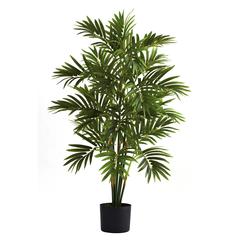 3ft. Areca Palm Tree