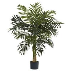 4ft. Golden Cane Palm Tree