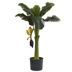 3ft. Banana Tree