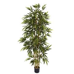 6ft. Bamboo Tree