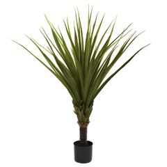 5ft. Spiked Agave Tree