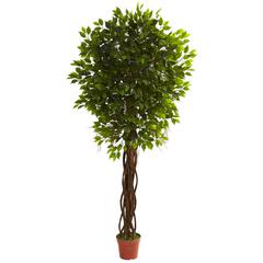 7.5ft. Ficus Tree UV Resistant (Indoor/Outdoor)