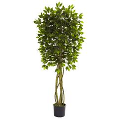 5.5ft. Ficus Tree UV Resistant (Indoor/Outdoor)