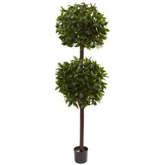 6ft. Sweet Bay Double Ball Topiary