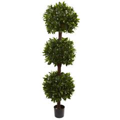 6.5ft. Sweet Bay Triple Ball Topiary