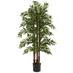 4ft. Parlour Palm Tree