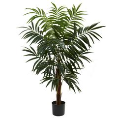 4.5ft. Bulb Areca Tree