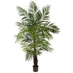 6ft. Areca Palm Tree