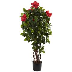 4ft. Hibiscus Tree