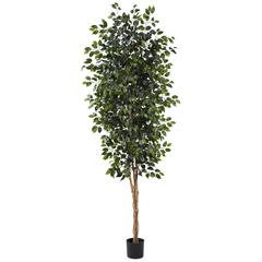 Artificial 8ft. Ficus Tree 44” Wide Natural trunks Realistic look