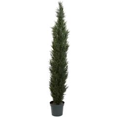 7ft. Mini Cedar Pine Tree with 3614 Tips in 12in. Pot (Two Tone Green)