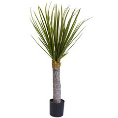 3ft. Yucca Tree