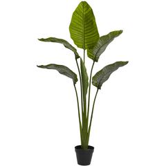 64" Travelers Palm Tree w/6 Lvs UV Resist (Indoor/Outdoor)