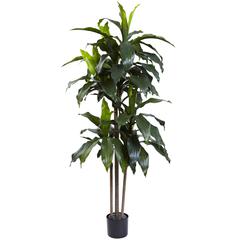 5ft. Dracaena Plant UV Resistant (Indoor/Outdoor)