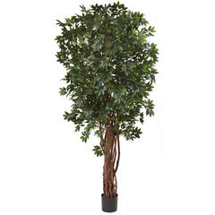 7.5ft. Lychee Silk Tree