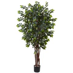 7ft. Sakaki Silk Tree