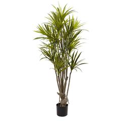 5ft. Dracaena Silk Tree