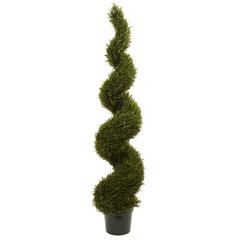 6ft. Rosemary Spiral Tree (Indoor/Outdoor)