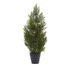 2ft. Mini Cedar Pine Tree (Indoor/Outdoor)