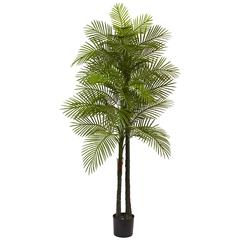 7ft. Double Robellini Palm Tree UV Resistant (Indoor/Outdoor)