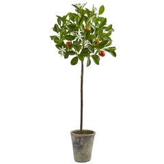 38in. Potted Orange Tree