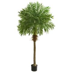 80in. Robellini Palm Artificial Tree