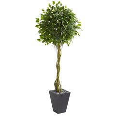 6ft. Ficus Artificial Tree in Slate Planter UV Resistant (Indoor/Outdoor)