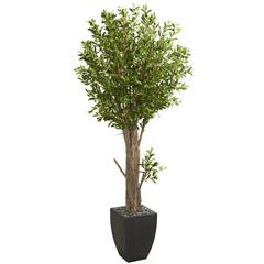 6.5ft. Olive Artificial Tree in Black Planter