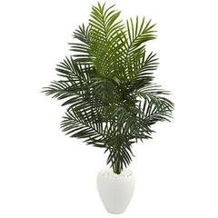 5.5ft. Paradise Artificial Palm Tree in White Planter