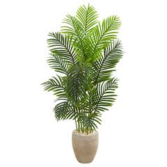 5ft. Paradise Palm Artificial Tree in Sand Colored Planter