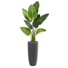 5.5ft. Travelers Palm Artificial Tree in Gray Planter