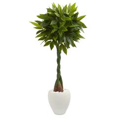 5ft. Money Artificial Tree in White Oval Planter (Real Touch