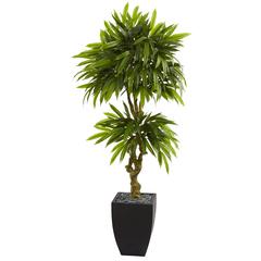 5.5ft. Mango Artificial Tree in Black Wash Planter UV Resistant (Indoor/Outdoor)