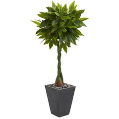 5ft. Money Artificial Tree in Slate Planter (Real Touch)