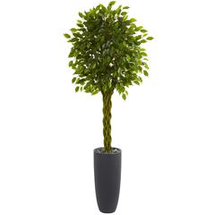 6.5ft. Braided Ficus Artificial Tree in Cylinder Planter UV Resistant (Indoor/Outdoor)