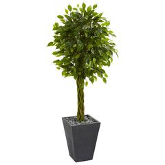 5ft. Braided Ficus Artificial Tree in Slate Planter UV Resistant (Indoor/Outdoor)