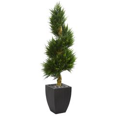 5.5ft. Cypress Spiral Artificial Tree in Black Wash Planter UV Resistant (Indoor/Outdoor)
